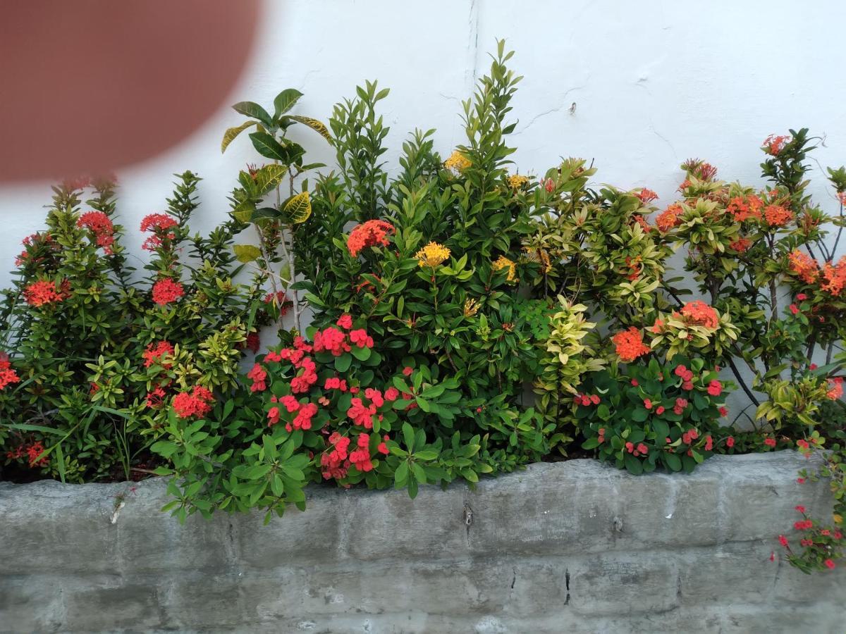 Pousada Terra De Minas Νατάλ Εξωτερικό φωτογραφία